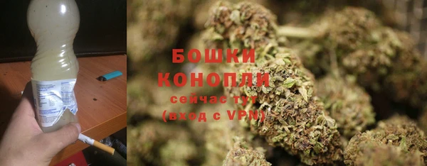 PSILOCYBIN Алексеевка