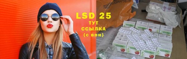 ГАЛЛЮЦИНОГЕННЫЕ ГРИБЫ Алексин