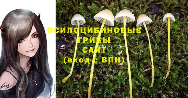ГАЛЛЮЦИНОГЕННЫЕ ГРИБЫ Алексин