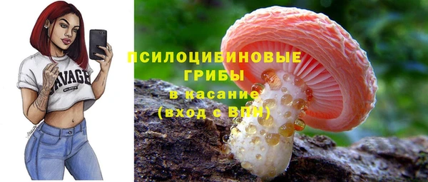 ГАЛЛЮЦИНОГЕННЫЕ ГРИБЫ Алексин