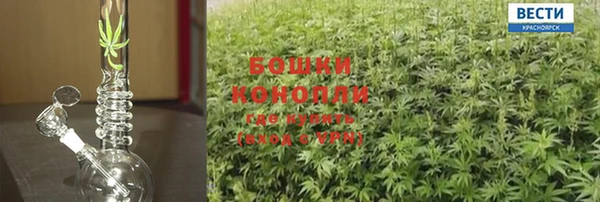 трава Абаза