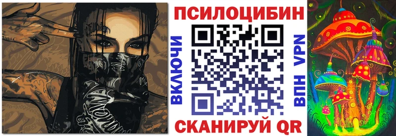 ссылка на мегу как войти  Покачи  Галлюциногенные грибы Psilocybe 